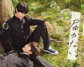 广东seo优化主要方法